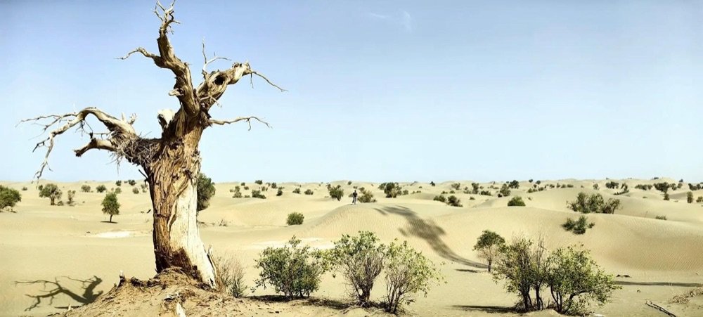 A self-drive view in Xinjiang