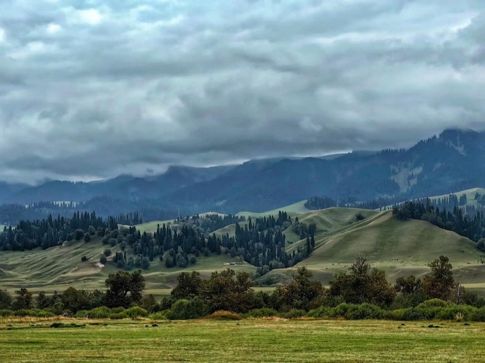 Jimsar (Jimusa'er): Northern Tianshan Steppe and the Road to Beiting in Xinjiang