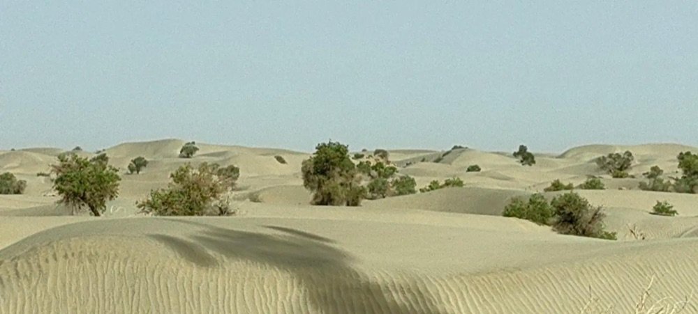 Camel Rides and Desert Camps: Adding a Slow Day to Your Xinjiang Drive scenery