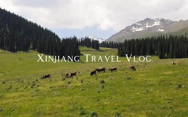 Xayar (Shahyar): Tarim Poplars and Desert Oasis of Aksu in Xinjiang