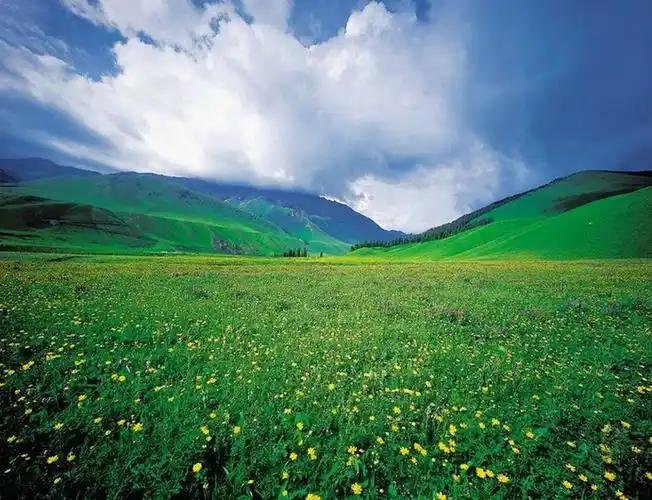 A self-drive view in Xinjiang